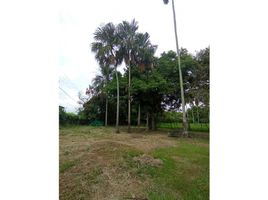  Land for sale in Palmira, Valle Del Cauca, Palmira