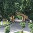  Land for sale in Parras, Coahuila, Parras