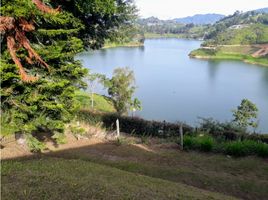  Land for sale in Penol, Antioquia, Penol