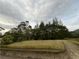  Land for sale in El Carmen De Viboral, Antioquia, El Carmen De Viboral