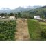  Land for sale in Santa Rosa De Cabal Risaralda, Santa Rosa De Cabal
