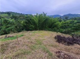  Terreno (Parcela) en venta en Manizales, Caldas, Manizales