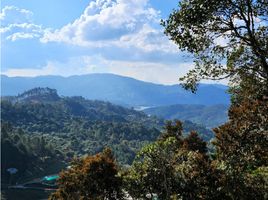 Terrain à vendre à Rionegro, Antioquia, Rionegro, Antioquia