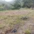  Land for sale in Penol, Antioquia, Penol