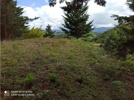  Terreno (Parcela) en venta en Penol, Antioquia, Penol