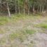  Land for sale in Penol, Antioquia, Penol