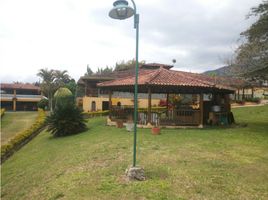 Estudio Villa en alquiler en Palmira, Valle Del Cauca, Palmira