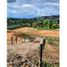  Land for sale in El Carmen De Viboral, Antioquia, El Carmen De Viboral