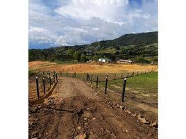  Land for sale in El Carmen De Viboral, Antioquia, El Carmen De Viboral