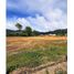  Land for sale in El Carmen De Viboral, Antioquia, El Carmen De Viboral