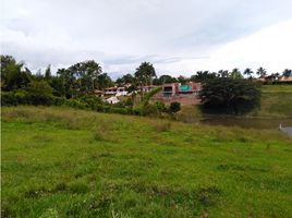  Terreno (Parcela) en venta en Pereira, Risaralda, Pereira