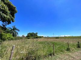  Terreno (Parcela) en venta en Pereira, Risaralda, Pereira