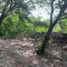  Land for rent in Tuxtla Gutierrez, Chiapas, Tuxtla Gutierrez, Chiapas
