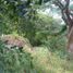  Land for rent in Tuxtla Gutierrez, Chiapas, Tuxtla Gutierrez, Chiapas