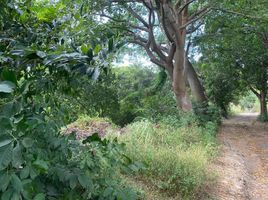 Land for rent in Tuxtla Gutierrez, Chiapas, Tuxtla Gutierrez, Chiapas