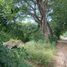  Land for rent in Tuxtla Gutierrez, Chiapas, Tuxtla Gutierrez, Chiapas