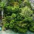  Terreno (Parcela) en venta en Othon P Blanco, Quintana Roo, Othon P Blanco