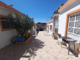 Maison 6 chambre à vendre à Queretaro, Queretaro, Queretaro, Queretaro