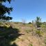  Land for sale in Punilla, Cordoba, Punilla