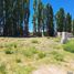  Land for sale in Confluencia, Neuquen, Confluencia