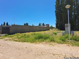  Land for sale in Confluencia, Neuquen, Confluencia