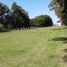  Land for sale in San Vicente, Buenos Aires, San Vicente