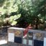  Land for sale in Alumine, Neuquen, Alumine