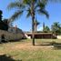  Land for rent in Guadalajara, Jalisco, Guadalajara