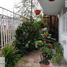 Studio House for rent in Tepic, Nayarit, Tepic
