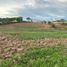  Land for sale in San Pablo Anicano, Puebla, San Pablo Anicano