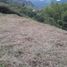  Land for sale in Manizales, Caldas, Manizales