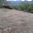  Land for sale in Manizales, Caldas, Manizales