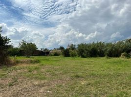  Land for sale in Ciudad Guzman, Jalisco, Ciudad Guzman, Jalisco