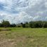  Land for sale in Ciudad Guzman, Jalisco, Ciudad Guzman