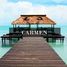  Terreno (Parcela) en venta en Carmen, Campeche, Carmen
