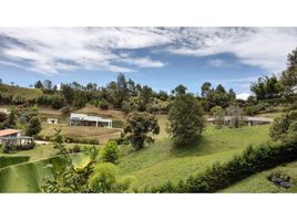  Terreno (Parcela) en venta en Rionegro, Antioquia, Rionegro, Antioquia
