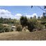  Terreno (Parcela) en venta en Rionegro, Antioquia, Rionegro, Antioquia