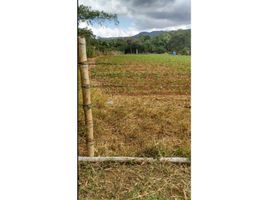  Land for sale in La Cumbre, Valle Del Cauca, La Cumbre