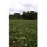  Land for sale in La Cumbre, Valle Del Cauca, La Cumbre