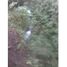  Land for sale in Concordia, Antioquia, Concordia