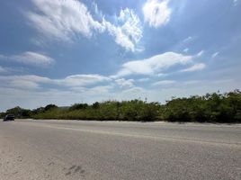  Grundstück zu verkaufen in Telchac Puerto, Yucatan, Telchac Puerto