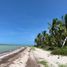  Grundstück zu verkaufen in Sinanche, Yucatan, Sinanche