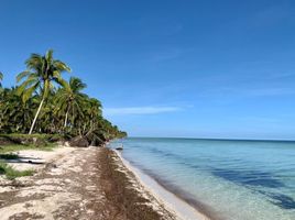  Grundstück zu verkaufen in Sinanche, Yucatan, Sinanche