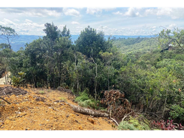  Land for sale in Guarne, Antioquia, Guarne