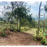  Land for sale in Guarne, Antioquia, Guarne