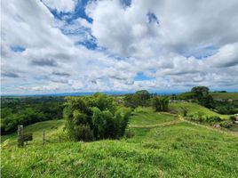 Estudio Casa en venta en Colombia, Filandia, Quindio, Colombia