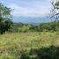  Land for sale in Tamesis, Antioquia, Tamesis