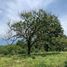  Terrain for sale in Tamesis, Antioquia, Tamesis