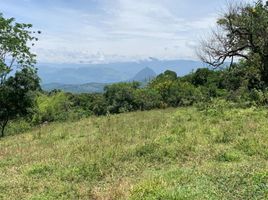  Grundstück zu verkaufen in Tamesis, Antioquia, Tamesis