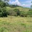  Terrain for sale in Tamesis, Antioquia, Tamesis